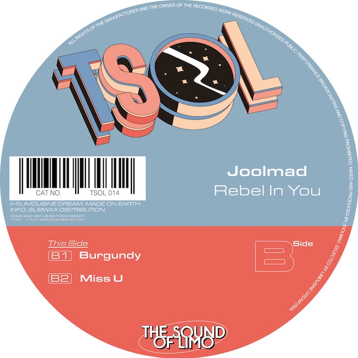 ( TSOL 014 ) JOOLMAD - Rebel in You ( 12" ) Limousine Dream